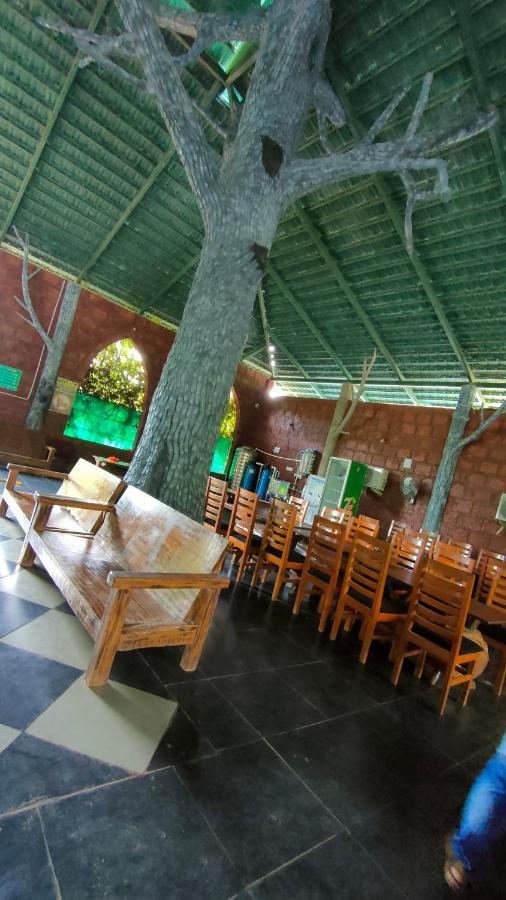 Dandeli Jungle Resort 外观 照片