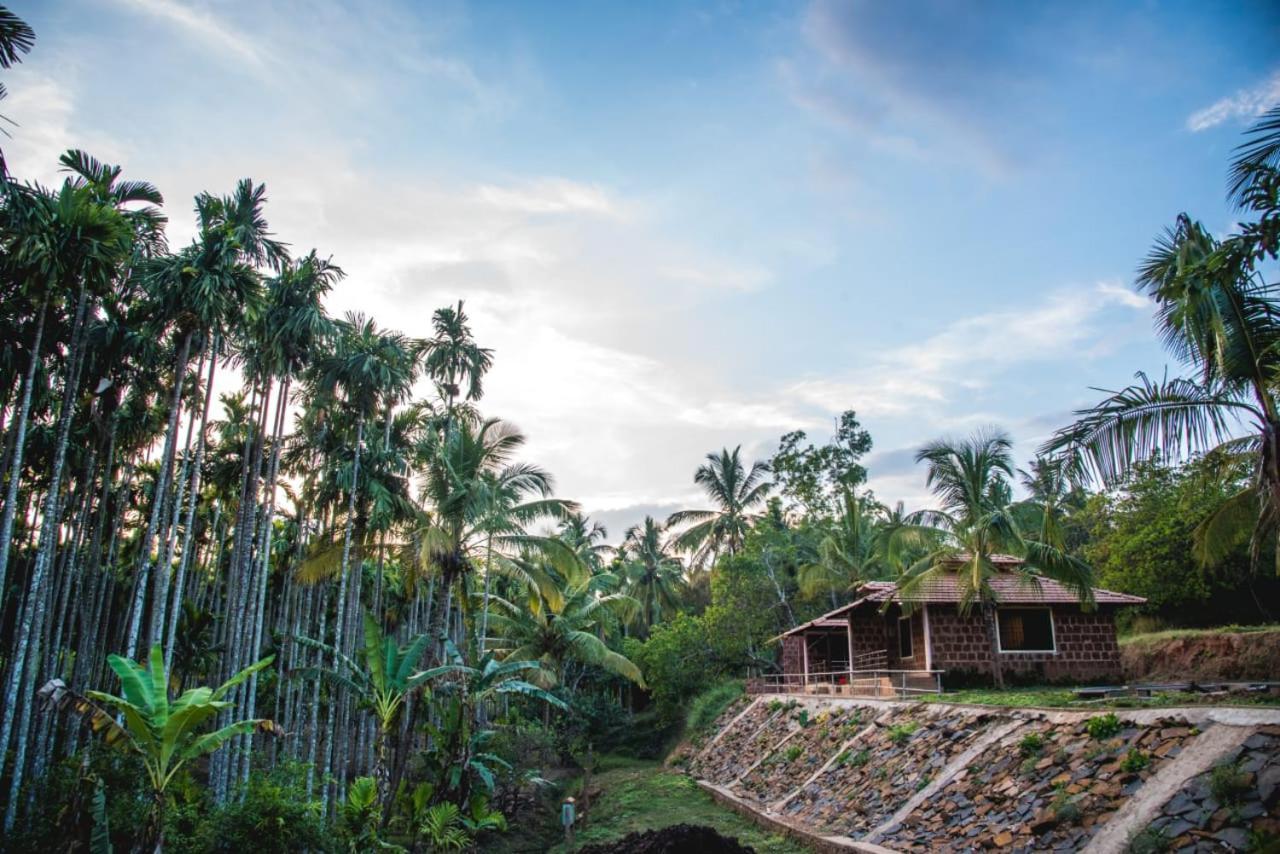 Dandeli Jungle Resort 外观 照片
