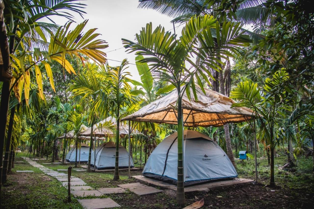 Dandeli Jungle Resort 客房 照片